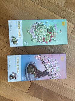 Unopened Legos Two boxes, succulent and cherry blossom tree