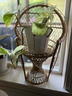 Rattan Plant Chair (2)