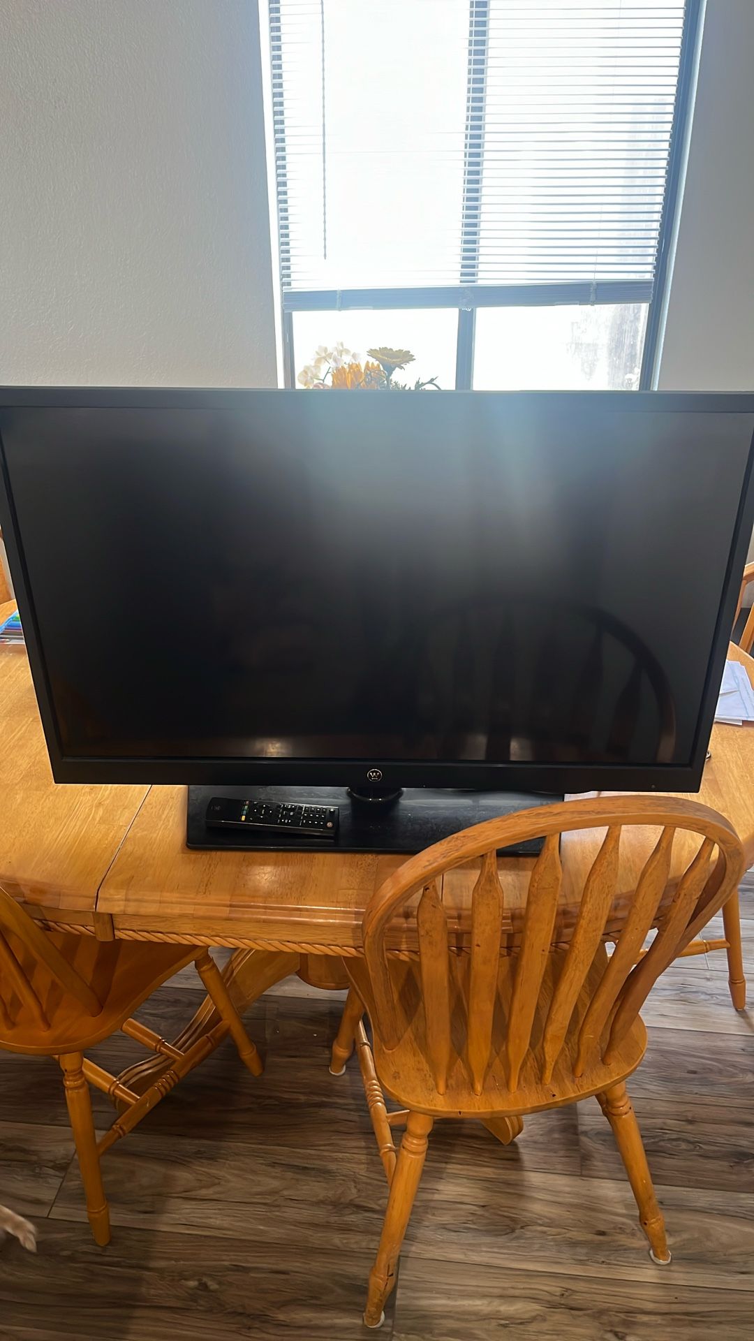 Westinghouse 42” Flat Screen TV
