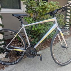 Men's Size Large Specialized Bike