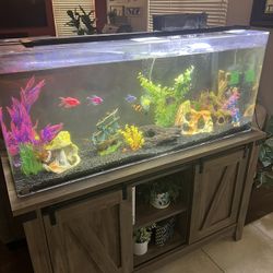 Acrylic Fish Tank And Stand 