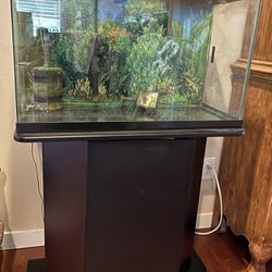 Fish Tank With Stand Filter Heater