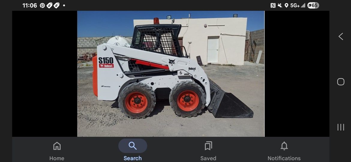 Bobcat Daily