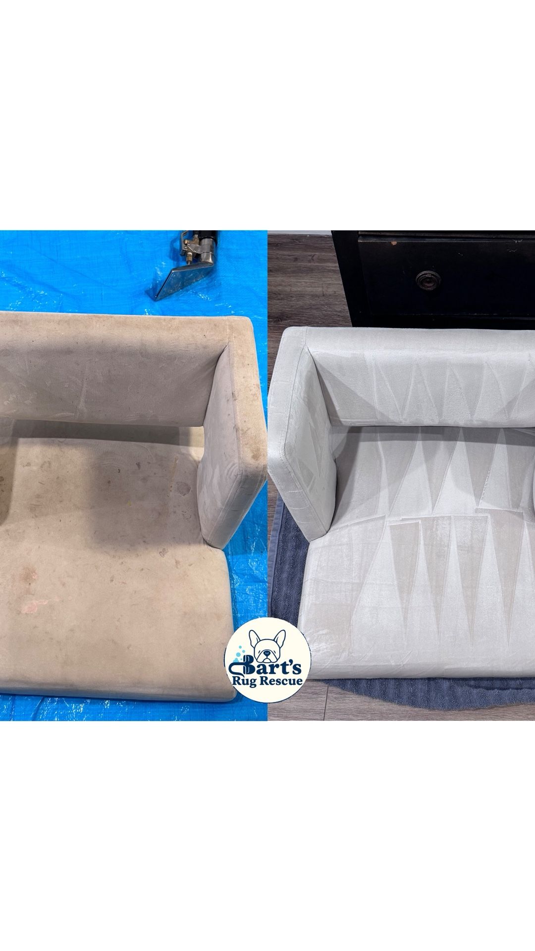 Carpet, Rug, Couch, Chair