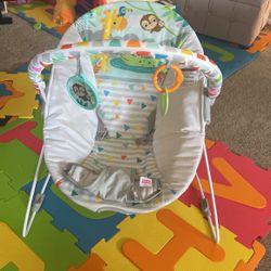 Bright Stars Baby Bouncing Chair 