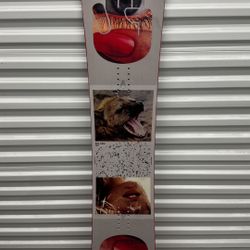 Bataleon Evil Twin Snowboard 156mm (Lightly Used)