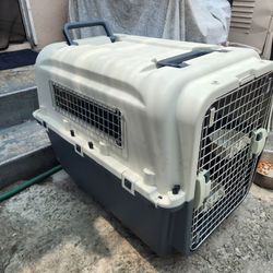 Pet Traveling Carrier, Large 