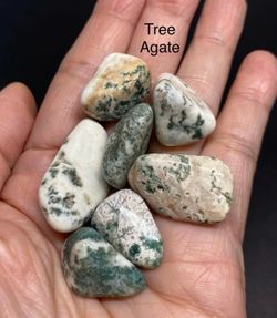 Tree Agate Genuine Stones 7pcs 36g total