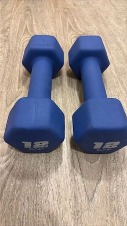 12 lb dumbbell pair