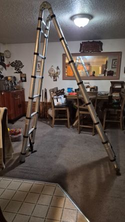 Telescoping Multi-Position Ladder