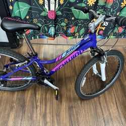 Schwinn Ranger Youth Bike