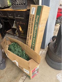 Christmas trees in box