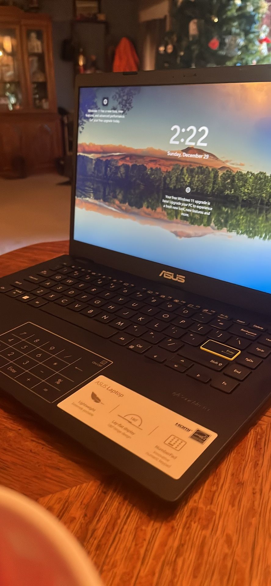 BRAND NEW ASUS LAPTOP