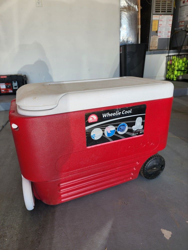 Igloo Cooler 38 Qt