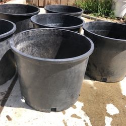 Nursery Pots 7 Gallons 100s Still Available