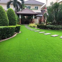 Artificial Turf And Pool
