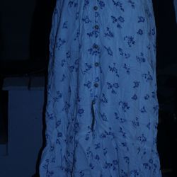Hollister Skirt