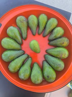 Deliciosos aguacates criollos cremosos