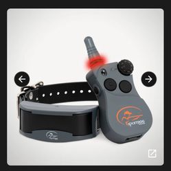 FieldSentinel™ 825 with BodyGuard™ Health Alerts - 1/2 Mile