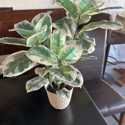 Artificial Plant Arrangement 24 Inches Tall 