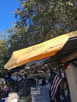 Kayak