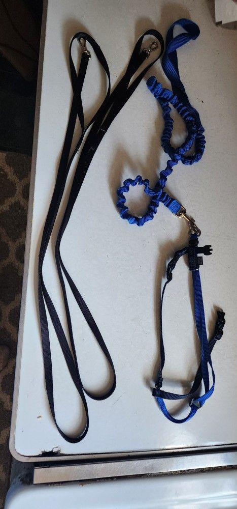 Cat Harness & Bungee Leash including 2 extra leashes