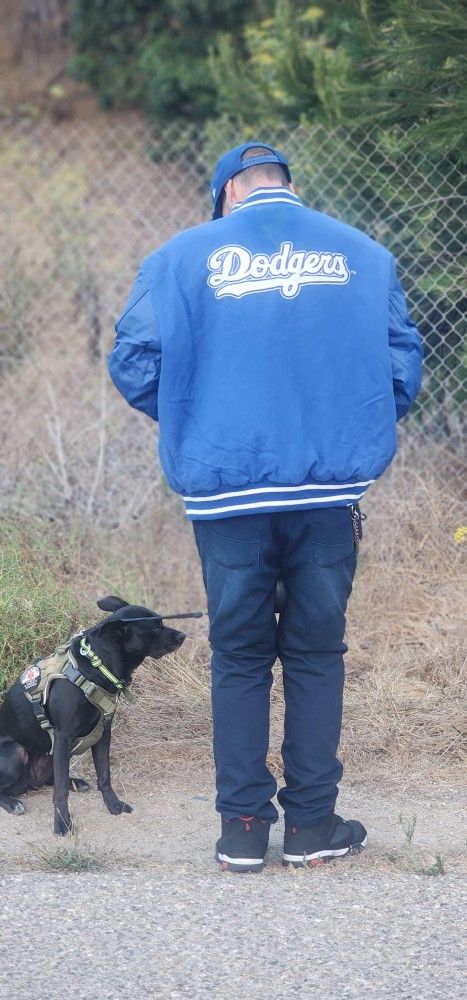 Pro Max LA Dodger This Los Angeles varsity jacket – Denim Exchange USA