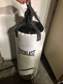 Everlast 70lbs. Punching Bag