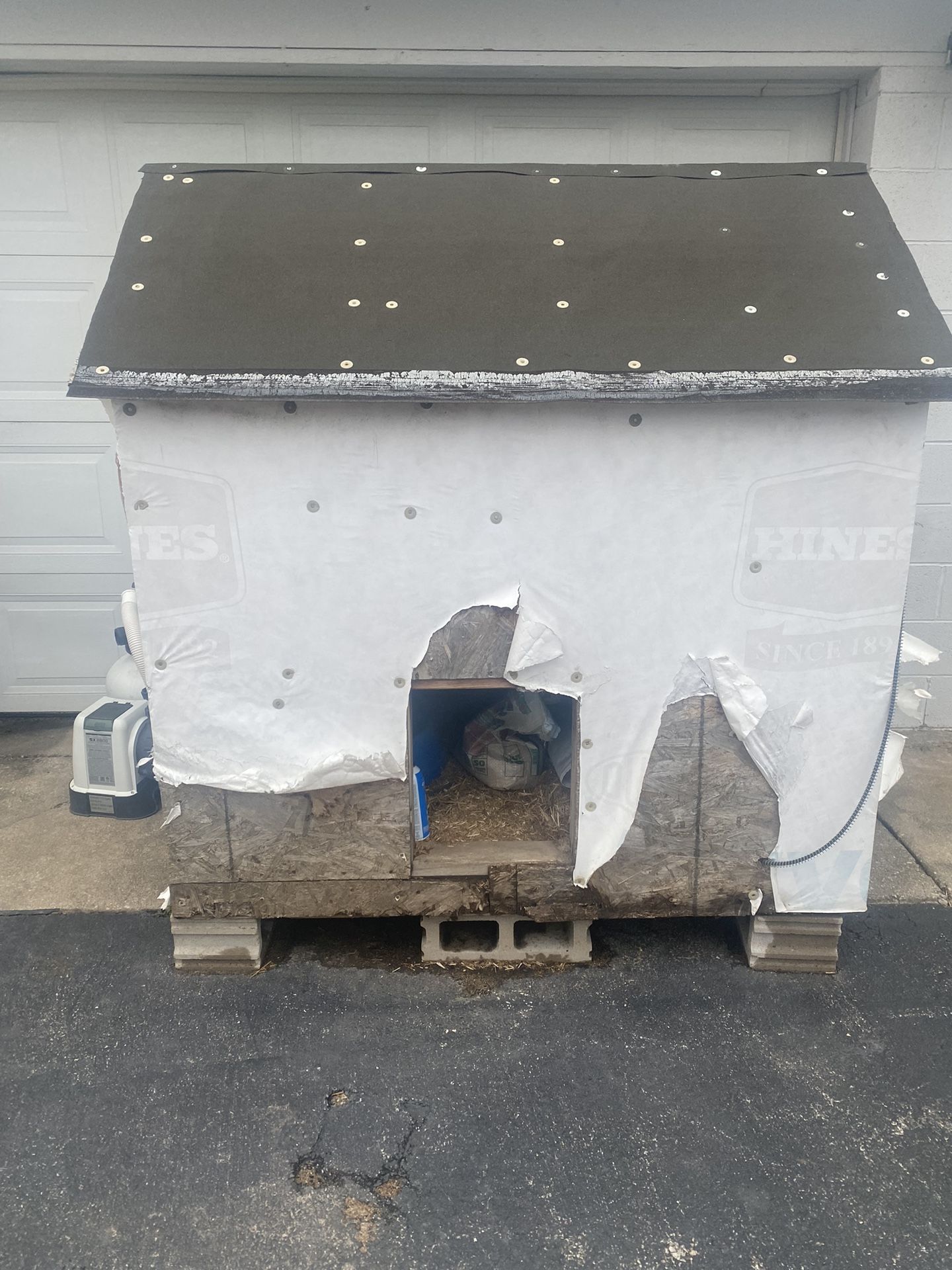 Dog House