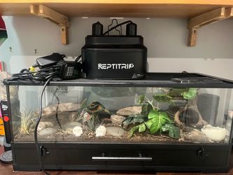 Reptile tank