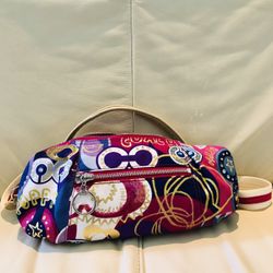 Coach Bag (New)