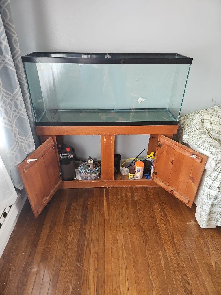 Fish Tank 