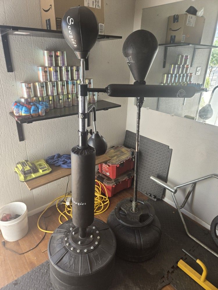 Boxing Speed Bag