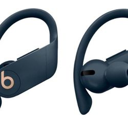 Beats By Dre Power Beats Pro Totally Wireless Earbuds 