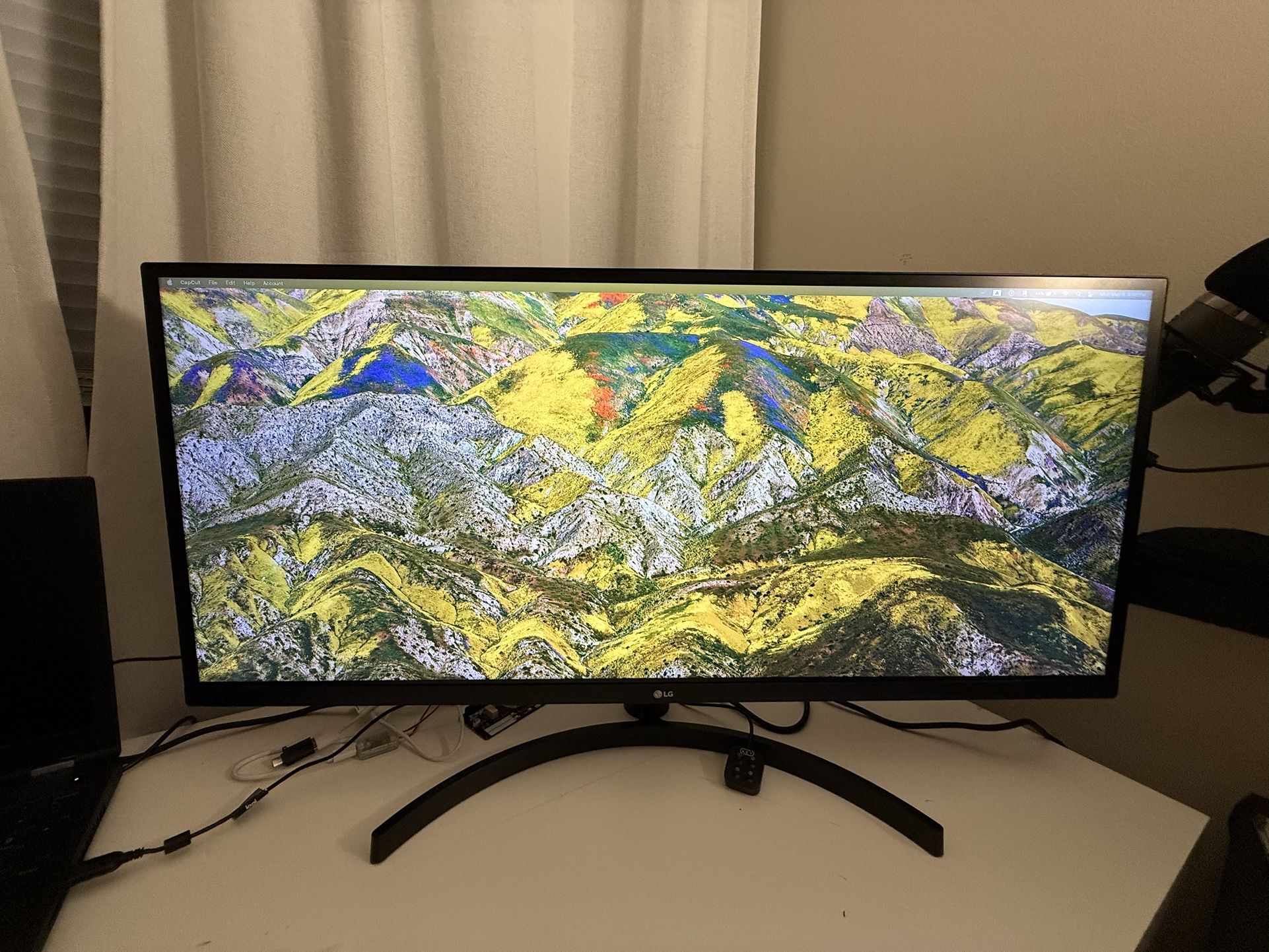 Computer Screen - Ultra Wide LG 34WL550 Screen