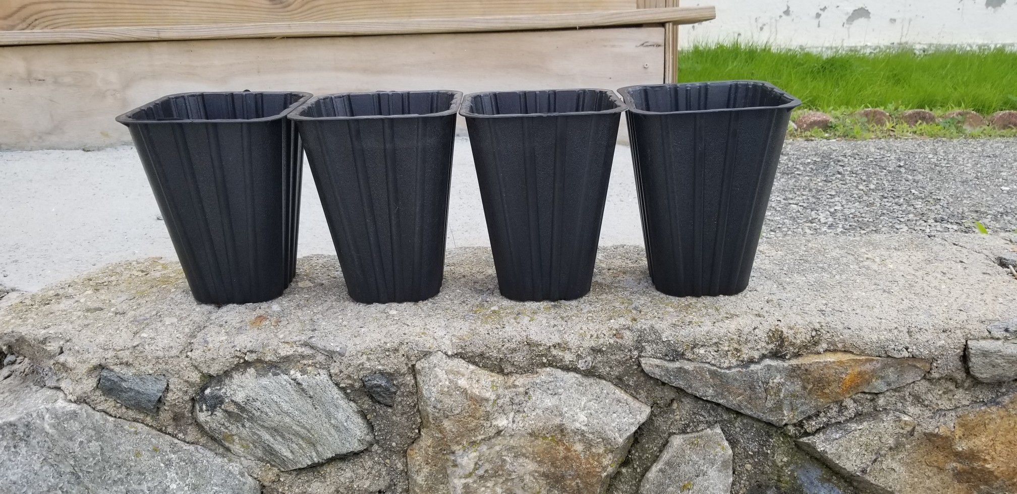 PLANT POTS