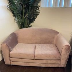 Sleeper Pull Out Couch