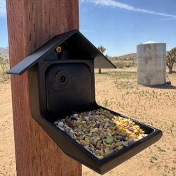 Blink Camera Bird Feeder
