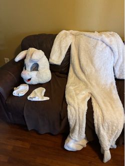 Used Bunny custom