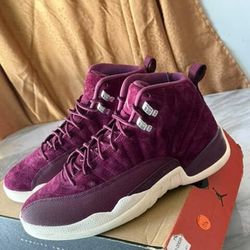 AirJordan 12 