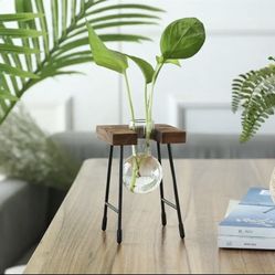 Hydroponic Glass Vase with Wooden Stand