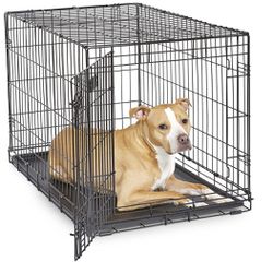 Dog Crate For Bigger Dogs