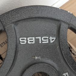 Olympic Weights $500