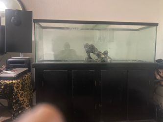 100 gallon Fish Tank