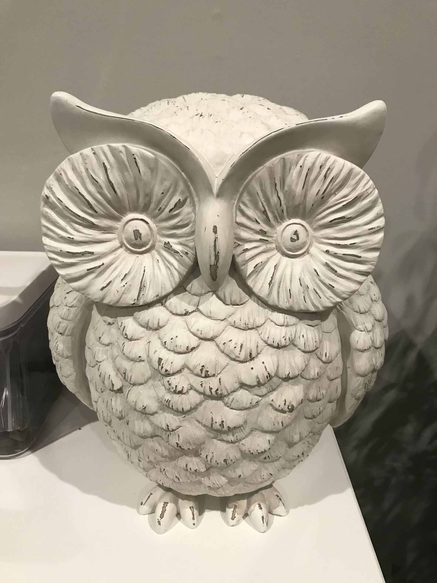 White owl decor