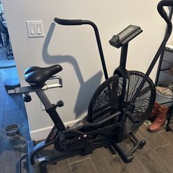 Rogue assault airbike