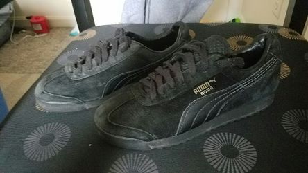 Pumas