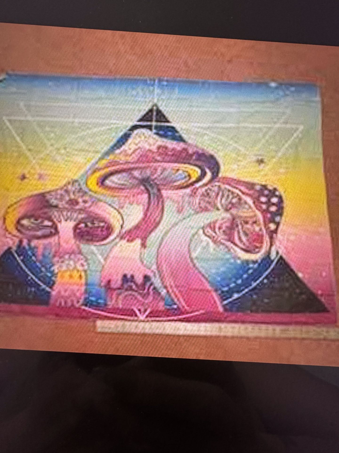 New Fabric Tapestry Mushroom Trippy Hippy Room Decor