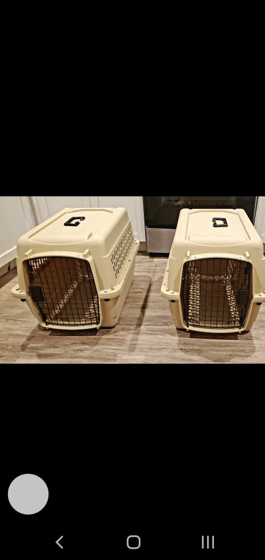 2 Medium Dog Crates-Clean-Like NEW