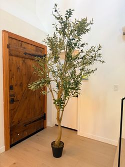 Large 8 Ft Faux Olive Tree in Black Pot